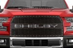 2015-17 Shelby F150 Stainless Underlay Grille