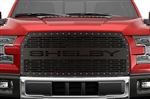 2015-2017 Shelby F150 Grille