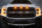 2017-2019 Shelby Raptor Stainless Underlay Grille