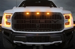 2017-2019 Shelby Raptor Grille