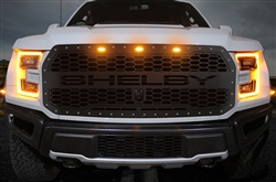 2017-2019 Shelby Raptor Grille