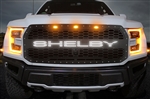 2017-2019 Shelby Raptor Stainless X-Lite Grille