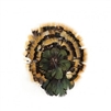 Natural Amber and Iridescent Bronze Lady Amherst Pheasant Feather Pad