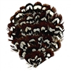 Venery Pheasant, Black, Brown, White Feather Pad