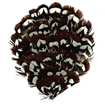 Venery Pheasant, Black, Brown, White Feather Pad