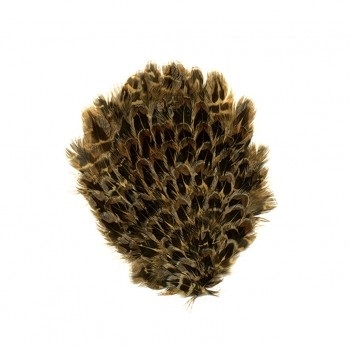 Natural Female Ringneck Pheasant Feather Pad