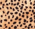 Short Pile Cheetah Print Craft Fur