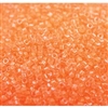 DB2033 Luminous Creamsicle - Miyuki Delica Seed Beads - 11/0