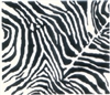 Printmakers Rubber Stamps Zebra