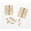 Brass Hinges - 1 inch