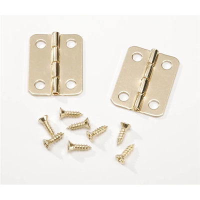 Brass Hinges - 1 inch