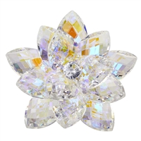 Debora Carlucci 24% Crystal Lotus Waterlily