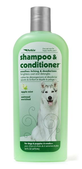 2-in-1 Shampoo & Conditioner - Apple Mint 16oz