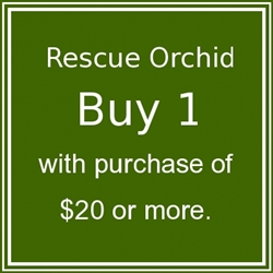 1 Rescue Orchid with purchase of $20 or more.