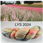 Artyarns Inspirations LYS Day 2024