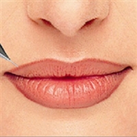 Perm Lip Liner Only