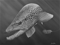 Bugger That! - Trout - White Charcoal on Black Paper Original by James Hitchins