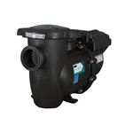 Sta-Rite IntelliPr3 VSF Variable Speed Pump 013075