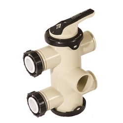 Pentair 263081 Backwash Valve