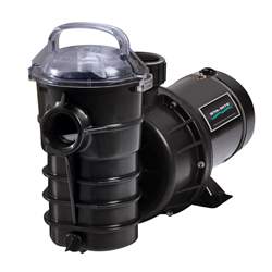 Pentair 340106 Dynamo Pool Pump