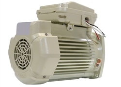 Pentair OEM Square Flange Motor 2HP Energy Efficient 230V Almond 354815S