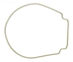 Pentair 357102Z Whisperflo Seal Plate Gasket - Tan