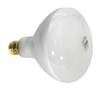 Pentair Amerilite Pool Light Bulb 300 Watt - 12V