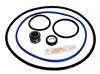 Hayward Northstar Pump Seal Kit APCK1064