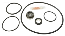 Jandy Seal Kit APCK1181