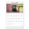 AT-A-GLANCE Puppies Monthly Wall Calendar, 15 1/2 x 22 3/4, 2017