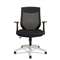 ALERA Alera EB-K Series Synchro Mid-Back Mesh Chair, Black/Cool Gray Frame