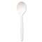 DIXIE FOOD SERVICE Plastic Cutlery, Mediumweight Soup Spoons, White, 1000/Carton