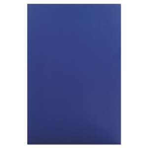ELMER'S PRODUCTS, INC. CFC-Free Polystyrene Foam Board, 30 x 20, Blue with White Core, 10/Carton