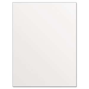 GEOGRAPHICS Royal Brites Illustration Board, 20x30, White, 1/EA