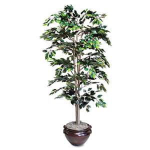 NuDell T7781 Artificial Ficus Tree, 6-ft. Overall Height