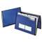 ESSELTE PENDAFLEX CORP. Professional Expanding Document Organizer, Letter, 7 Pockets, Blue