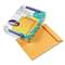 QUALITY PARK PRODUCTS Catalog Envelope, 10 x 13, Brown Kraft, 100/Box