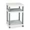 SAFCO PRODUCTS Wave Design Printer Stand, Three-Shelf, 20w x 17-1/2d x 29-1/4h, Charcoal Gray