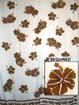 Sequined White Sarong with Brown Flowers