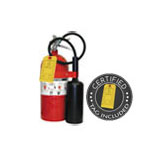 10 lb CO2 Dry Chemical Fire Extinguisher