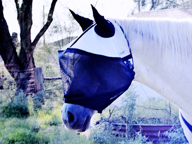 Fly Mask