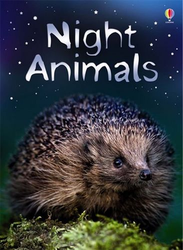 Night Animals (Beginners)