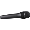 DPA Microphones 2028-B-B01  Vocal Supercardioid Handheld Mic (Black)