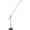 DPA Microphones 4018FGS Supercardioid Microphone with 120cm Floor Boom Stand
