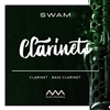 Audio Modeling SWAM Clarinets