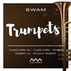 Audio Modeling SWAM Solo Trumpets