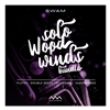 Audio Modeling SWAM Solo Woodwinds bundle