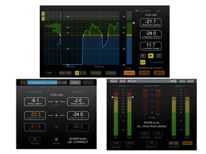 Nugen Audio Loudness Toolkit (Download)