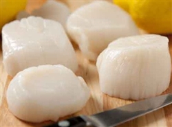 Jumbo Sea Scallops