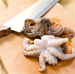 Octopus - Petite - $29.37 for 2 lbs